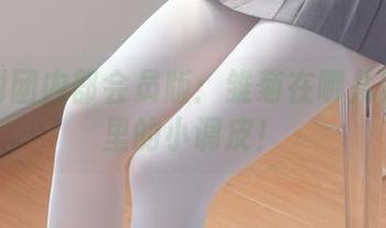 森萝财团内部会员版：雏菊在哪儿？图库里的小调皮！