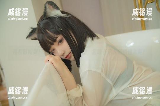 福利时间到！看起司块wii的原图，猫咪在这儿悄悄报恩呢！